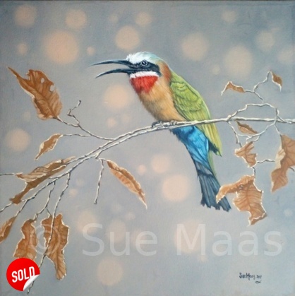 White-Fronted Bee-eater