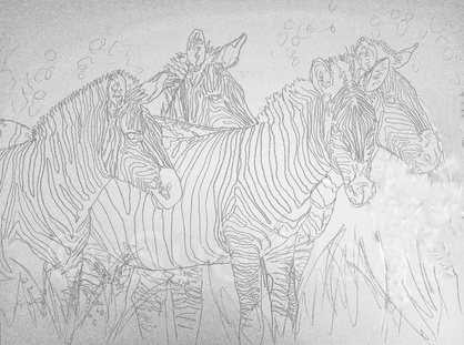 Stage 1 - zebra group painting
