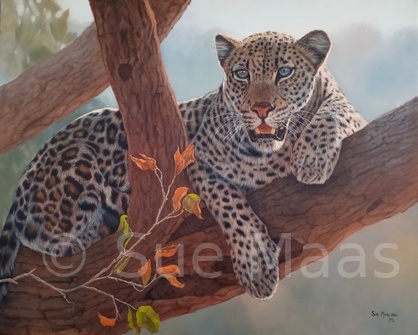 In Quietness & Trust is Strength (Isaiah 30:15)