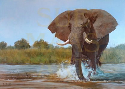 Elephant Painting